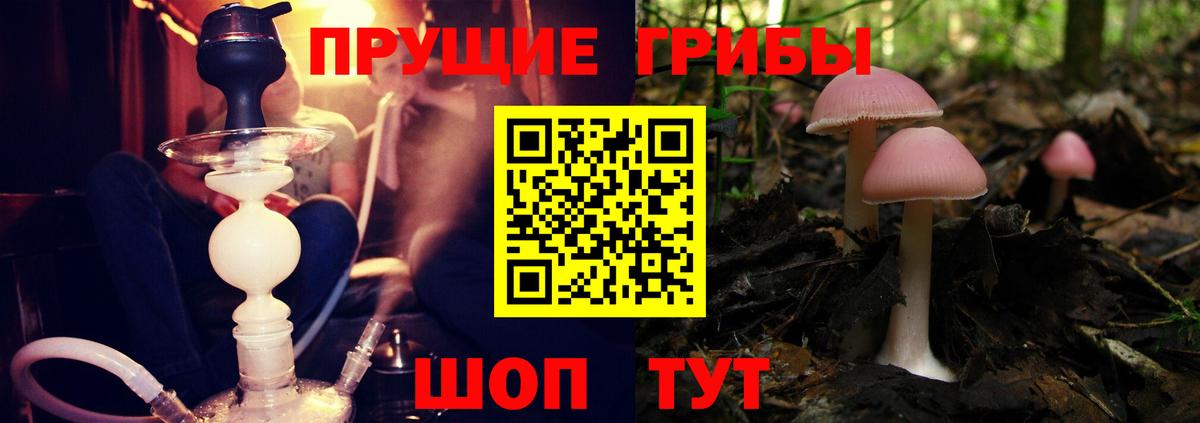 Орск  Галлюциногенные грибы ЛСД  Псилоцибиновые грибы Psilocybe  купить  сайты  Вход с VPN 